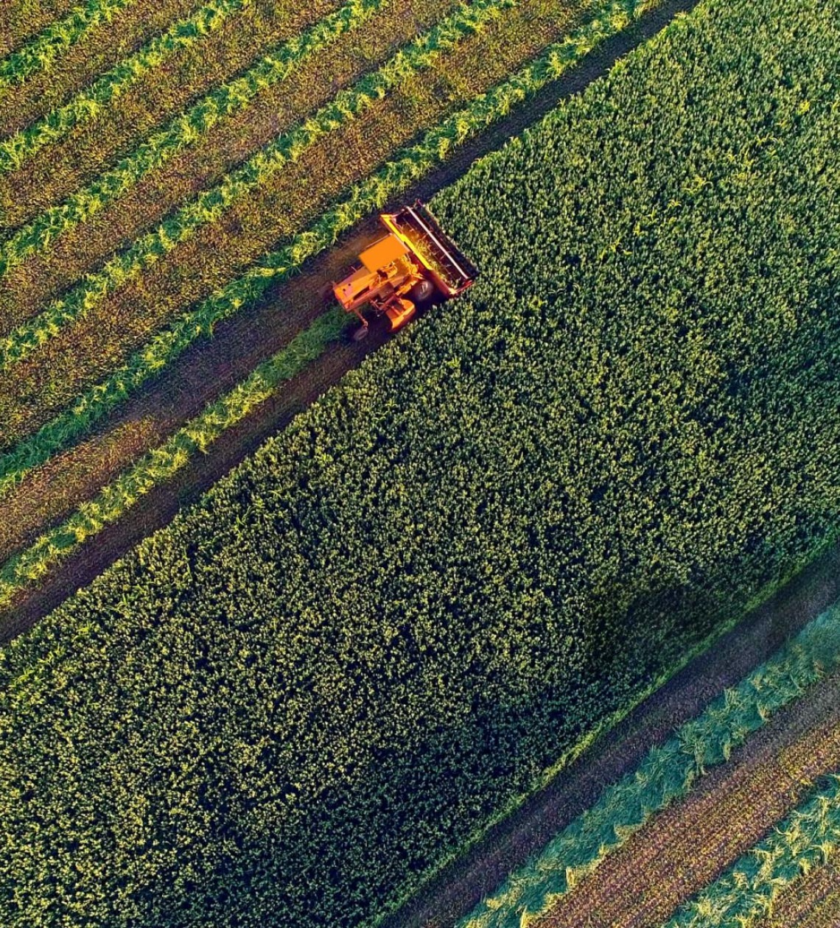 Save Money While Protecting Your Crops